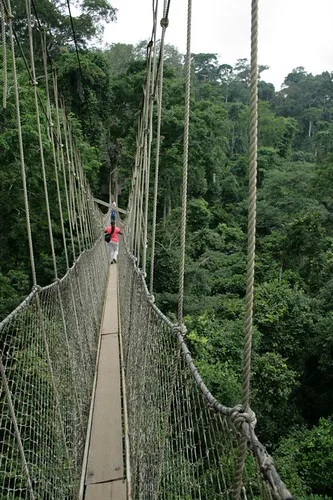 Kakum Canopy Walkway tour package from A2K Travel and Tour