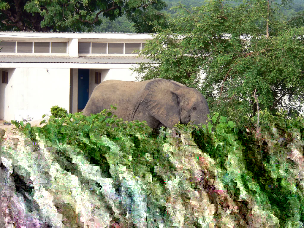 Mole Safari Adventure tour package from A2K Travel and Tour
